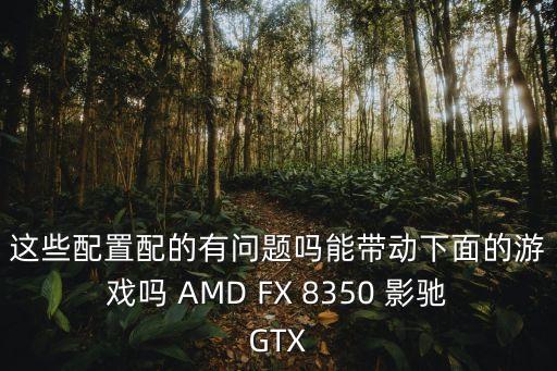这些配置配的有问题吗能带动下面的游戏吗 AMD FX 8350 影驰GTX