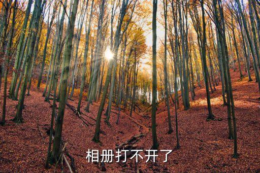 相册打不开了