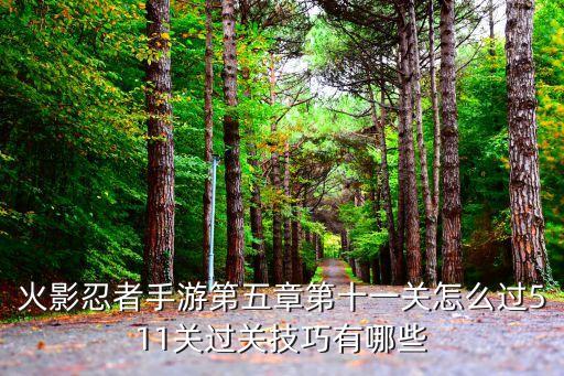 火影忍者手游第五章第十一关怎么过511关过关技巧有哪些