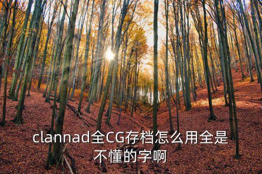 clannad全CG存档怎么用全是不懂的字啊