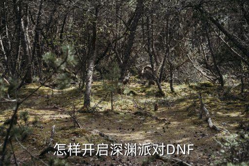 dnf手游怎么开深渊派对，怎样开启深渊派对DNF