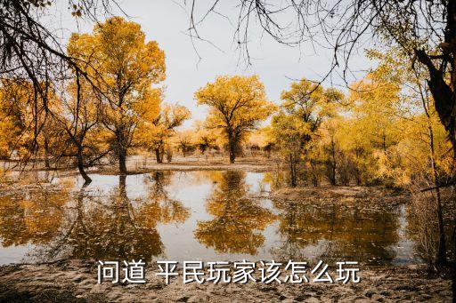 问道手游怎么不是平民玩家，问道手游平民怎么练火