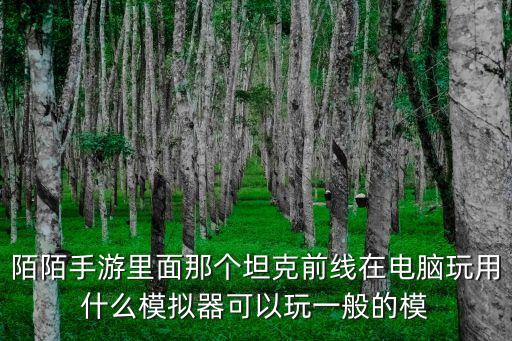 坦克前线手游怎么搜不到，陌陌手游里面那个坦克前线在电脑玩用什么模拟器可以玩一般的模