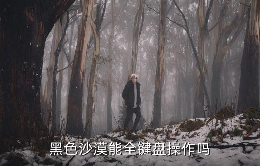 黑色沙漠能全键盘操作吗
