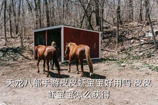 天龙八部手游皮皮虾宝宝好用吗 皮皮虾宝宝怎么获得