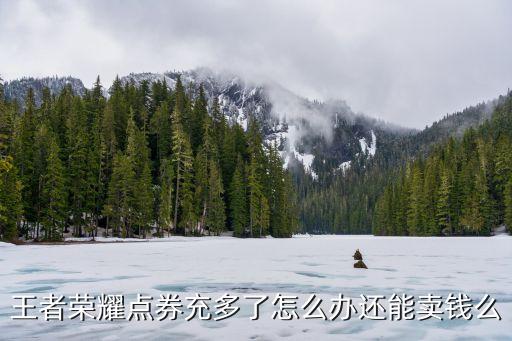 王者荣耀点券充多了怎么办还能卖钱么