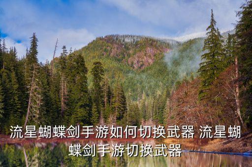 流星蝴蝶剑手游如何切换武器 流星蝴蝶剑手游切换武器