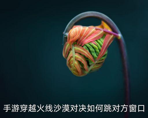 手游穿越火线沙漠对决如何跳对方窗口