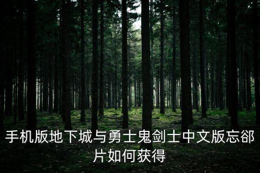 手机版地下城与勇士鬼剑士中文版忘郤片如何获得