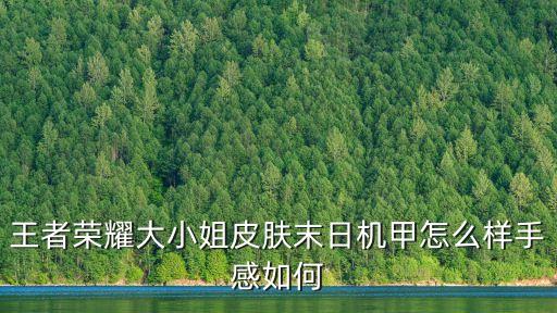 王者荣耀大小姐皮肤末日机甲怎么样手感如何