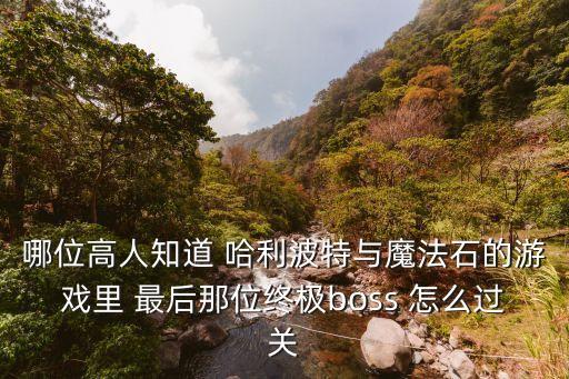 哪位高人知道 哈利波特与魔法石的游戏里 最后那位终极boss 怎么过关
