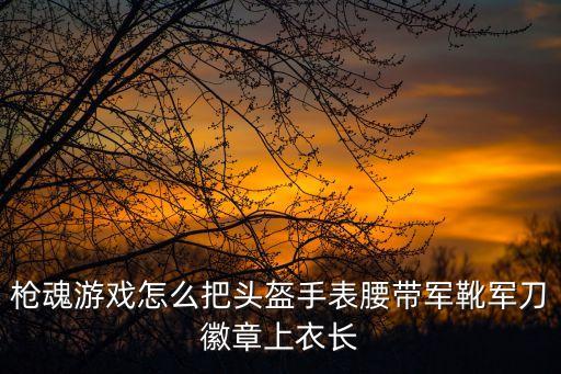 枪魂游戏怎么把头盔手表腰带军靴军刀徽章上衣长