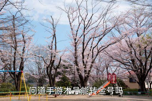 问道手游木号能转金号吗