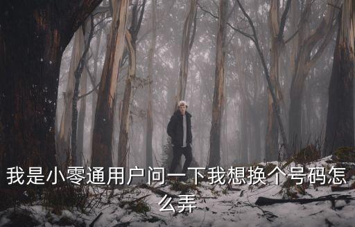我是小零通用户问一下我想换个号码怎么弄