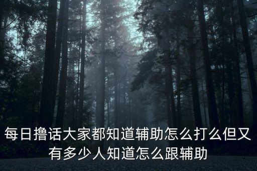 每日撸话大家都知道辅助怎么打么但又有多少人知道怎么跟辅助