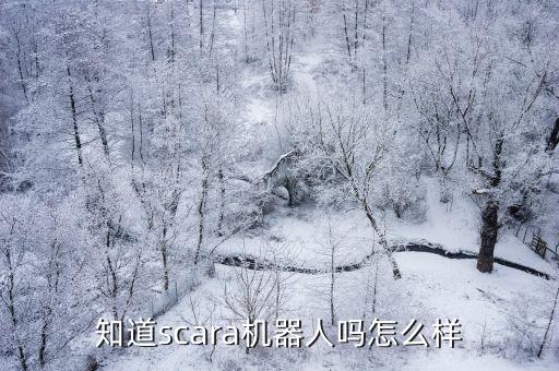 知道scara机器人吗怎么样