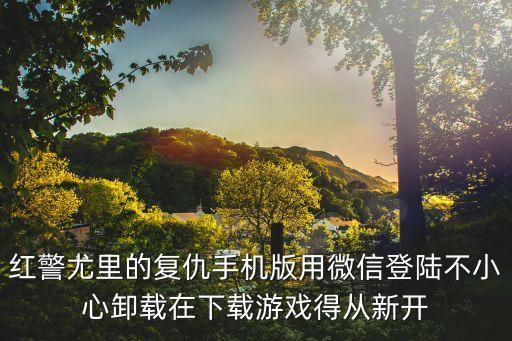 手游红警怎么绑定微信，我是在小米游戏平台下载的红警4大国崛起我想问下我怎么绑定自