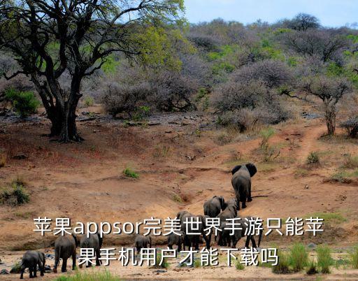 苹果appsor完美世界手游只能苹果手机用户才能下载吗