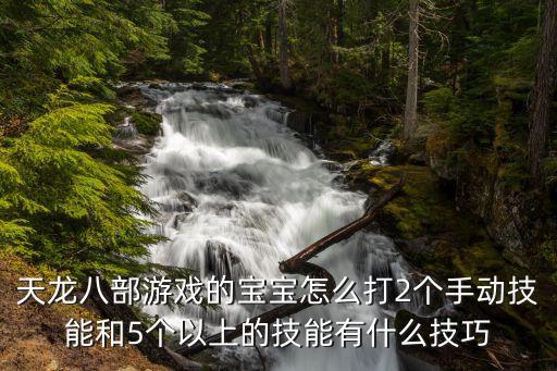 天龙八部游戏的宝宝怎么打2个手动技能和5个以上的技能有什么技巧