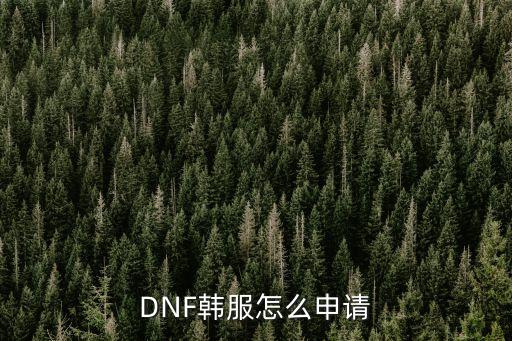 dnf韩服手游ios预约怎么填，DNF韩服注册流程