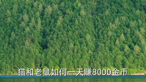 猫和老鼠如何一天赚8000金币