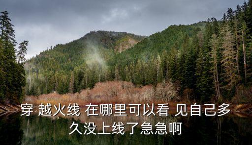 穿 越火线 在哪里可以看 见自己多久没上线了急急啊