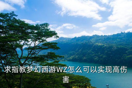 手游腕豪w伤害怎么增加，求指教梦幻西游WZ怎么可以实现高伤害