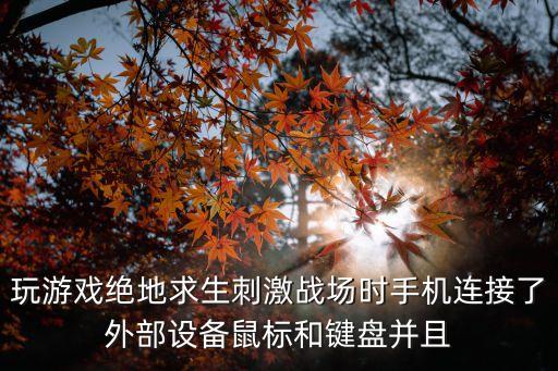 玩游戏绝地求生刺激战场时手机连接了外部设备鼠标和键盘并且