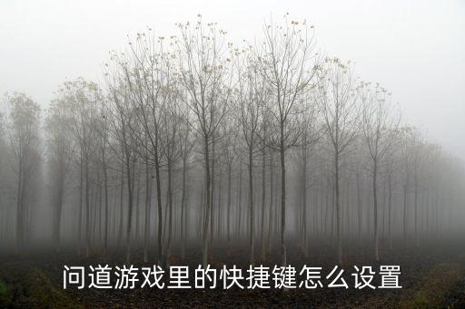 问道游戏里的快捷键怎么设置