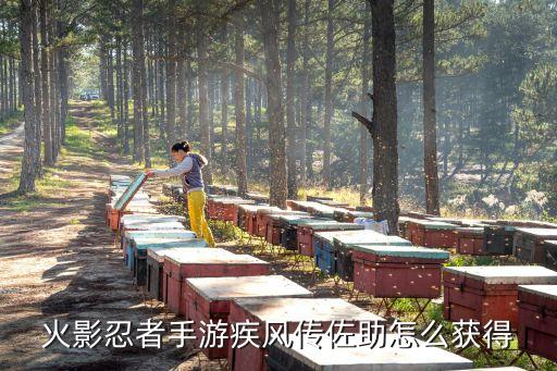 火影忍者手游疾风传佐助怎么获得