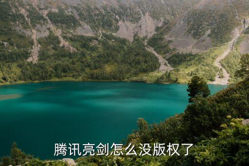 亮剑手游怎么没有了，亮剑游戏以前的is用户怎么没了