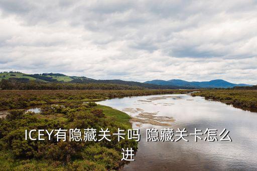 ICEY有隐藏关卡吗 隐藏关卡怎么进