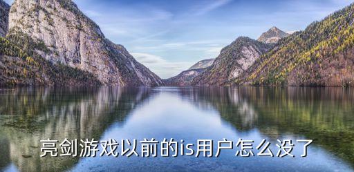 亮剑游戏以前的is用户怎么没了