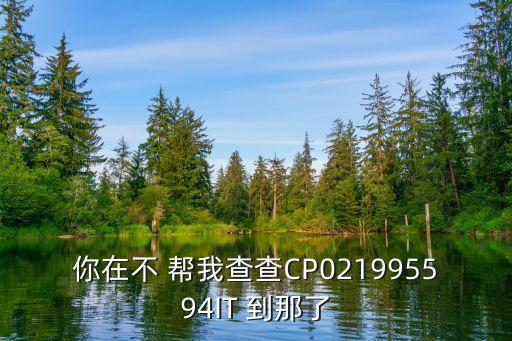 怎么查斗罗大陆手游是否组cp，你在不 帮我查查CP021995594IT 到那了