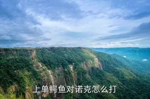 上单鳄鱼对诺克怎么打