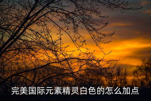 完美国际元素精灵白色的怎么加点