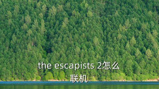 汽车模拟器2手游怎么联机，the escapists 2怎么联机