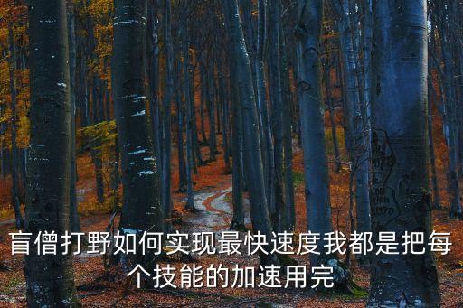 手游盲僧打野怎么打快，求教盲僧如何打野