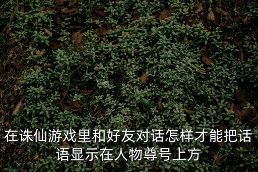 在诛仙游戏里和好友对话怎样才能把话语显示在人物尊号上方