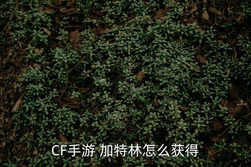 CF手游 加特林怎么获得