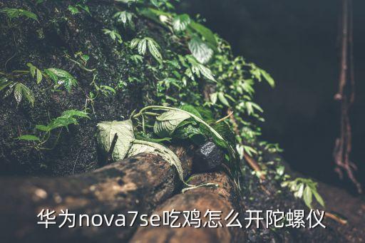 手游吃鸡要陀螺仪吗怎么调，华为nova7se吃鸡怎么开陀螺仪