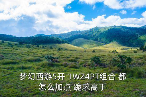 梦幻西游5开 1WZ4PT组合 都怎么加点 跪求高手