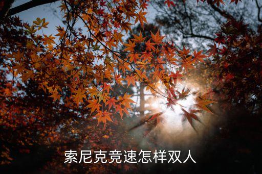 索尼克竞速怎样双人