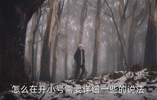 怎么在开小号需要详细一些的说法
