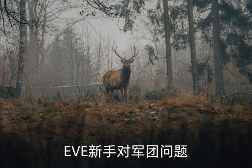 EVE新手对军团问题