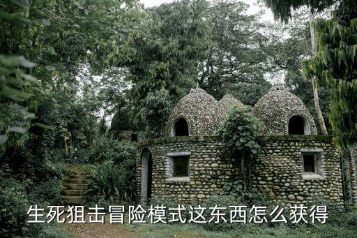 生死狙击冒险模式这东西怎么获得