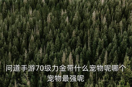 问道手游70级力金带什么宠物呢哪个宠物最强呢