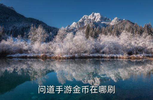 问道手游金币在哪刷