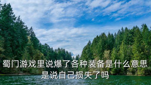 蜀门游戏里说爆了各种装备是什么意思是说自己损失了吗