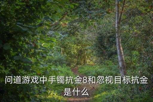 问道游戏中手镯抗金8和忽视目标抗金是什么
